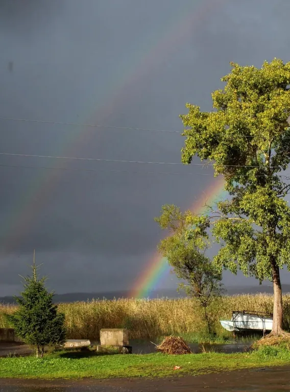 Дом с видом на Селигер
