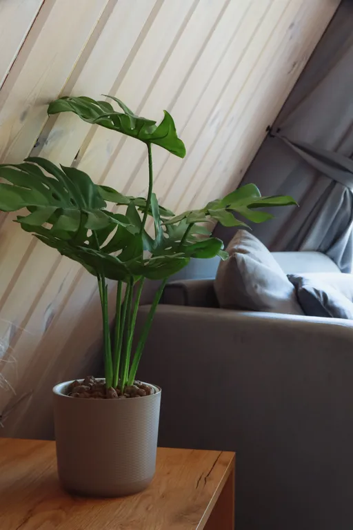 Территория отдыха Тишина Дом №7