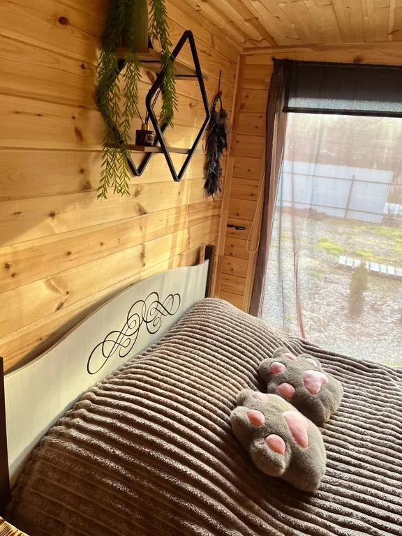 Домик с чаном в лесу