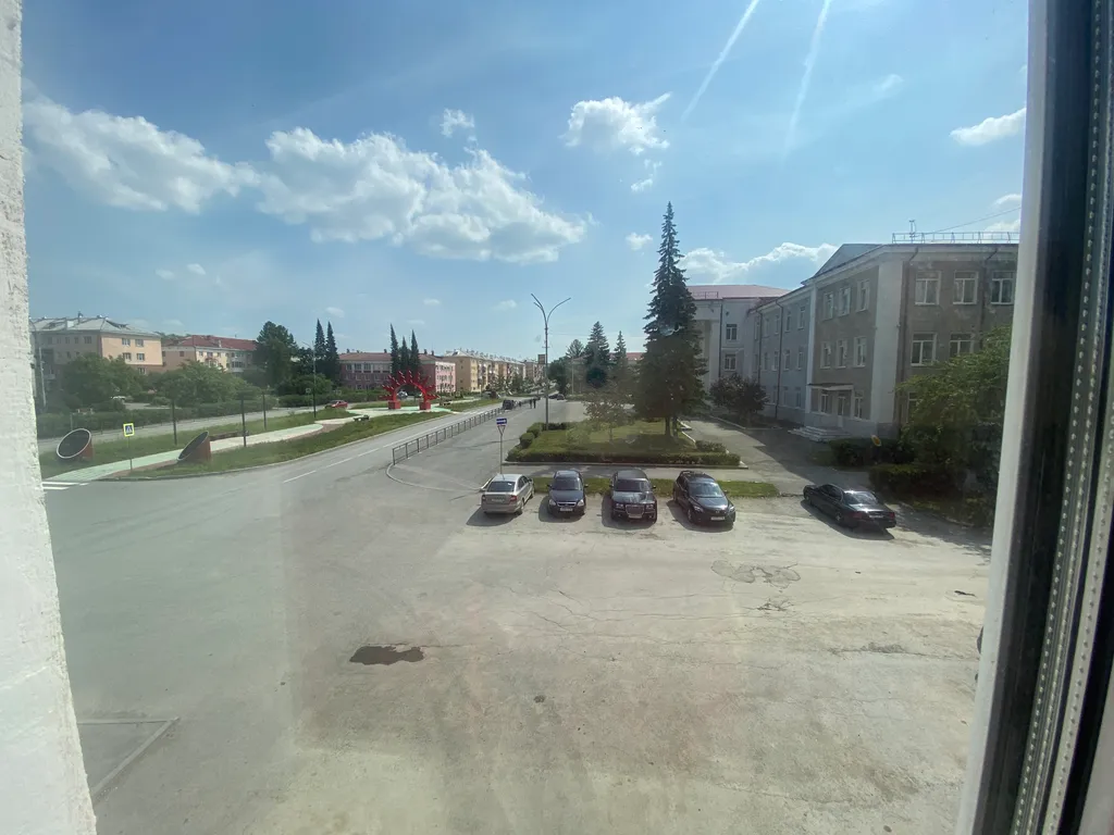 Для любителей тёплых квартир с комфортными матрасами, Жёлтый нарцисс