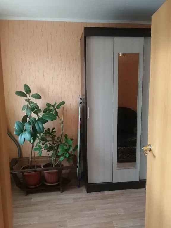 Очень тёплая квартира в центре города