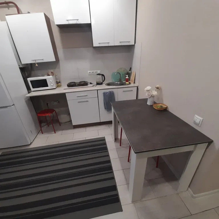 Квартира у Спорткомплекса и Ледового дворца