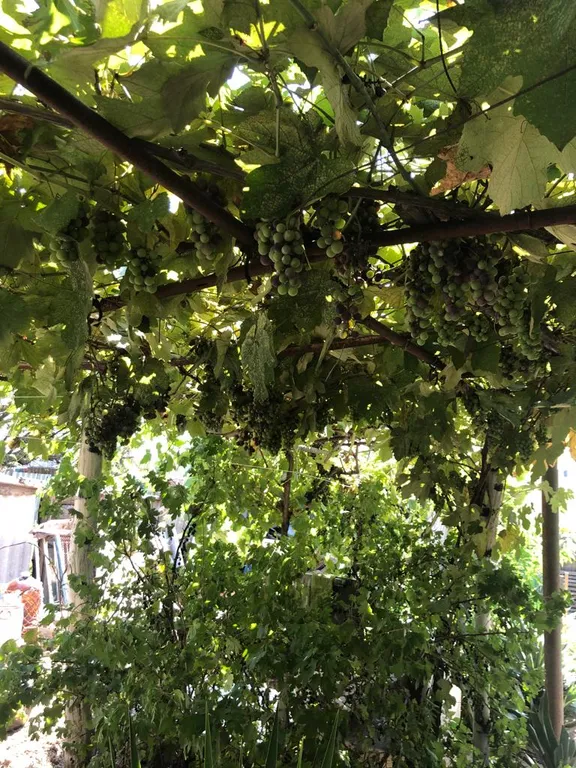 Коттедж Коттедж Отдых на море — Ильич