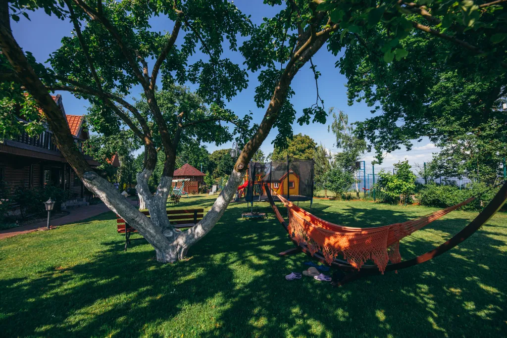 Берег мечты