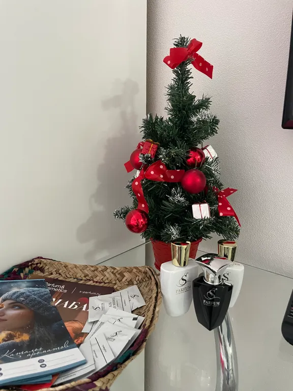 Светлая студия