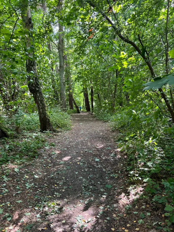 Квартира на побережье Балтийского моря