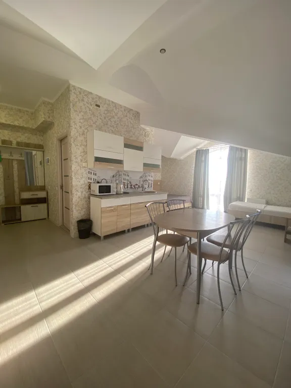 Студия на 4-х с кухней, балконом