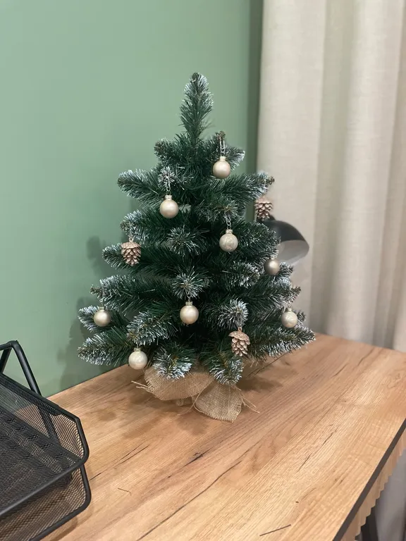 2-комнатная квартира в центре города