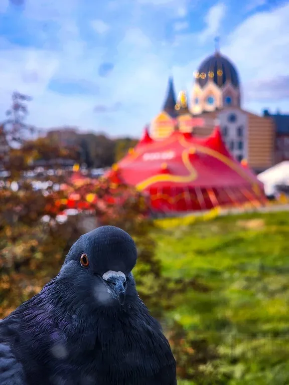 Квартира Апартаменты с видом на Рыбную деревню — Калининград