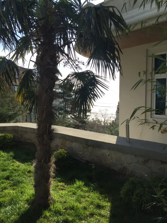 Апартаменты с видом на море и горы