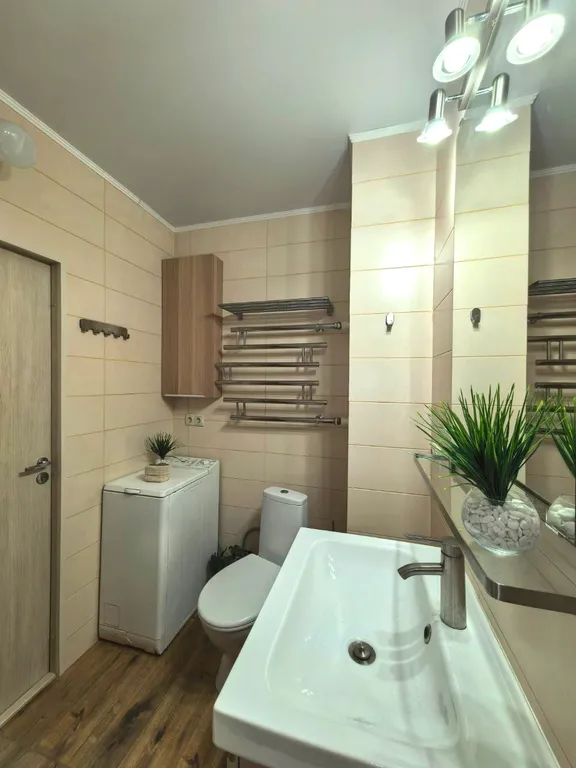 Scandinavian Style Apartment