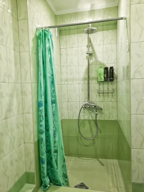 Квартира с отдельным входом