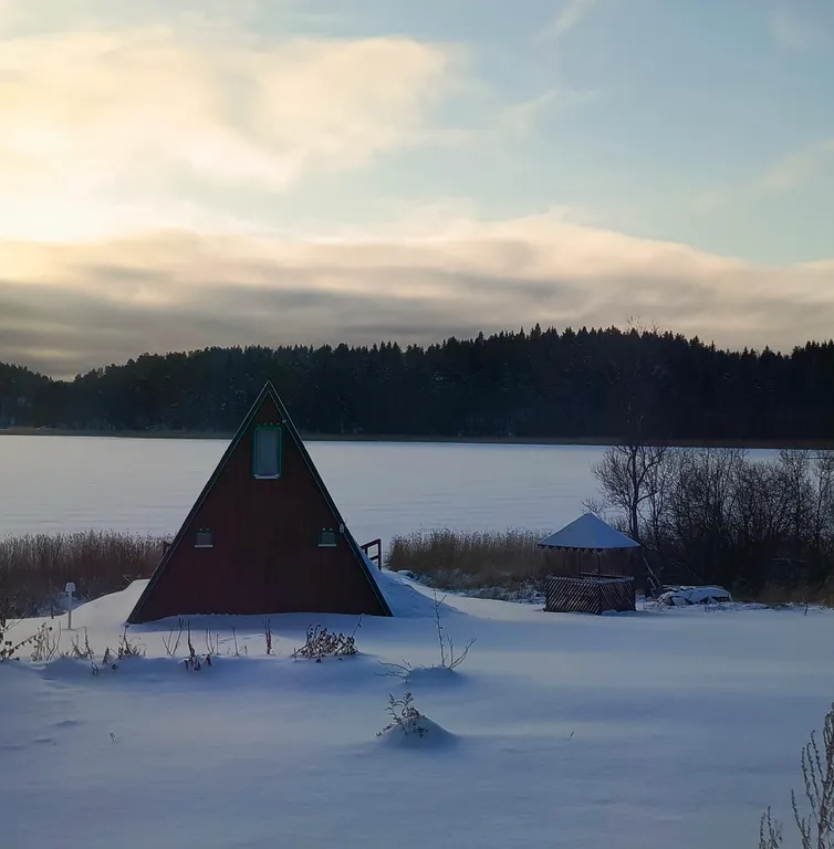 Дом в стиле A-Frame с сауной