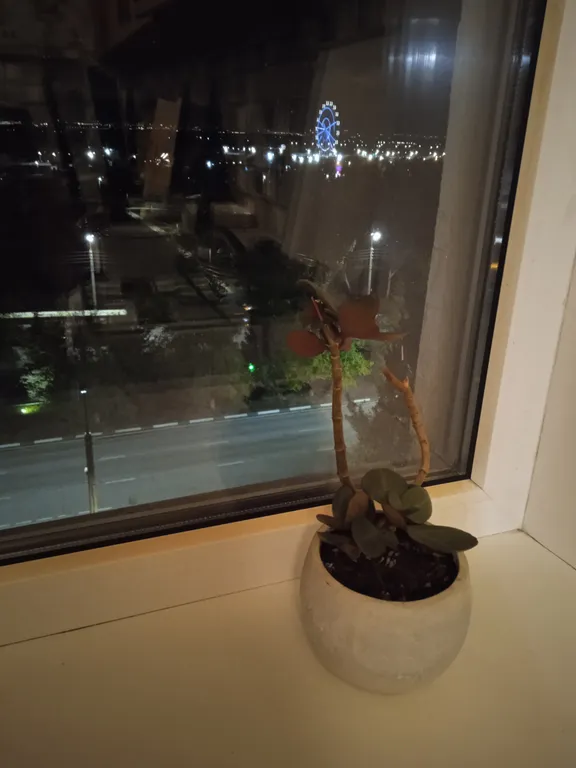 Квартира в историческом центре города