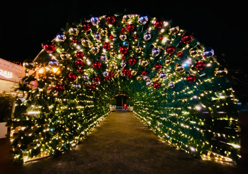 Квартира Уютные апартаменты в трёх минутах до центрального пляжа Адлера — Адлер