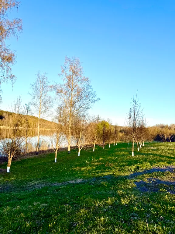 Домик в лесу с озером