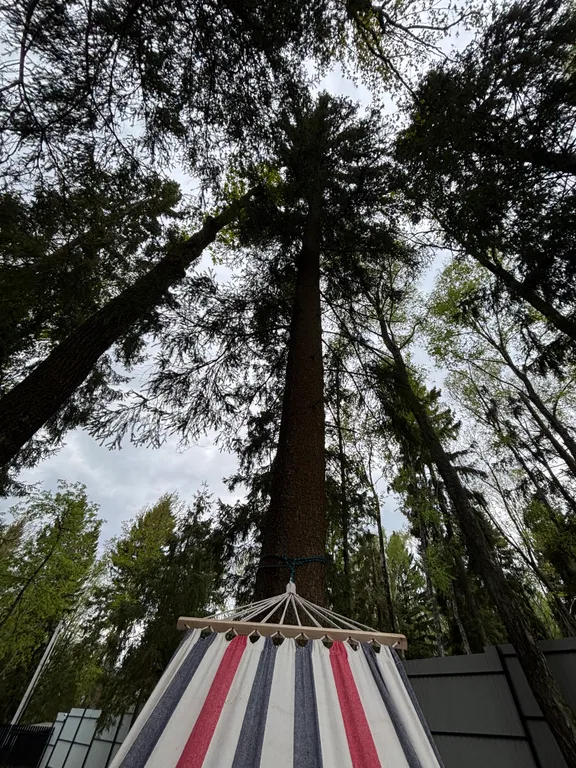 Стильный домик в лесу рядом с Икшинским водохранилищем