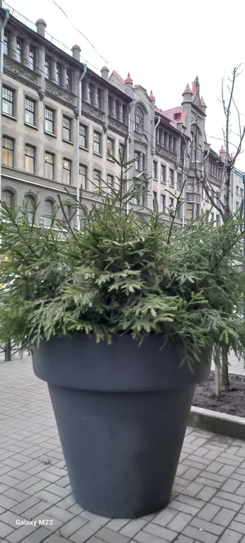 Уютная студия на углу Садовой и Вознесенского