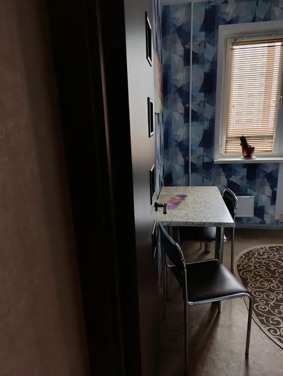 Чижовка Арена, Дельфинарий, Дино-парк, метро Автозаводская 10мин