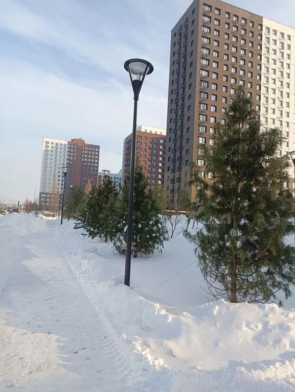 Новая Студия