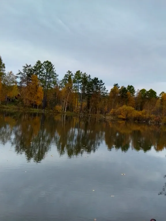 Уютный коттедж в сосновом бору