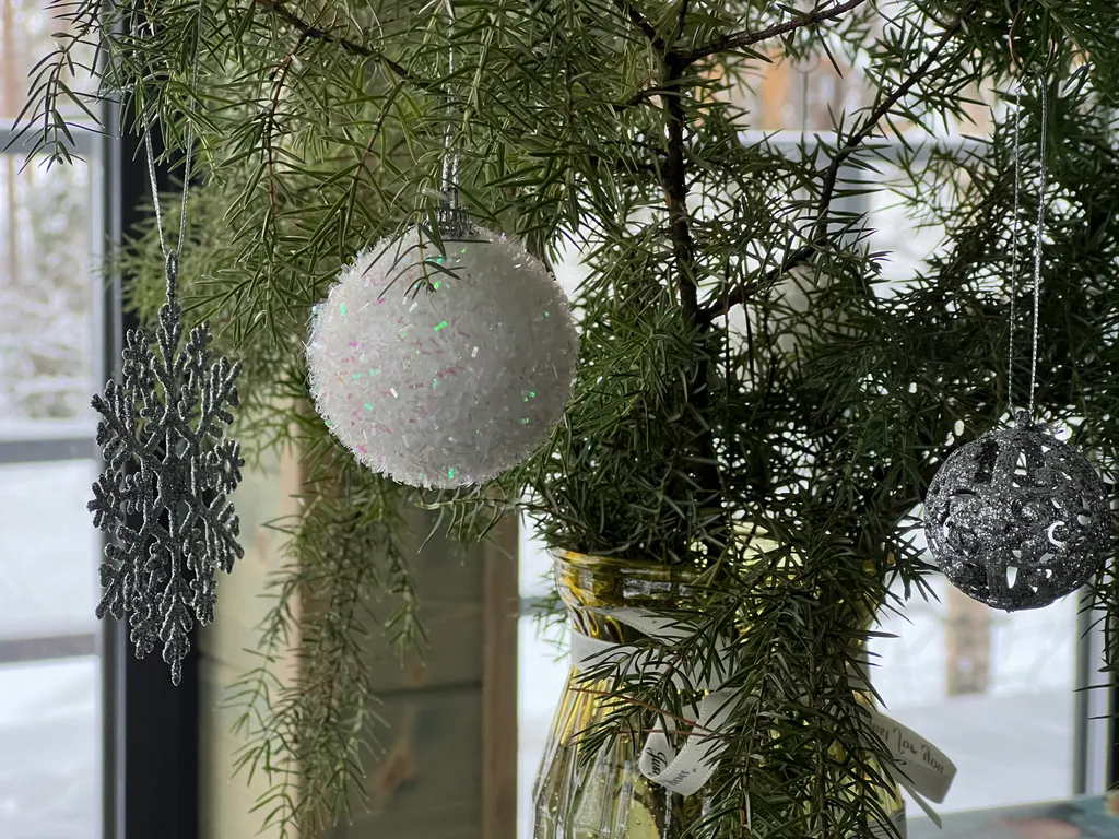 Дом 6 в лесу у реки