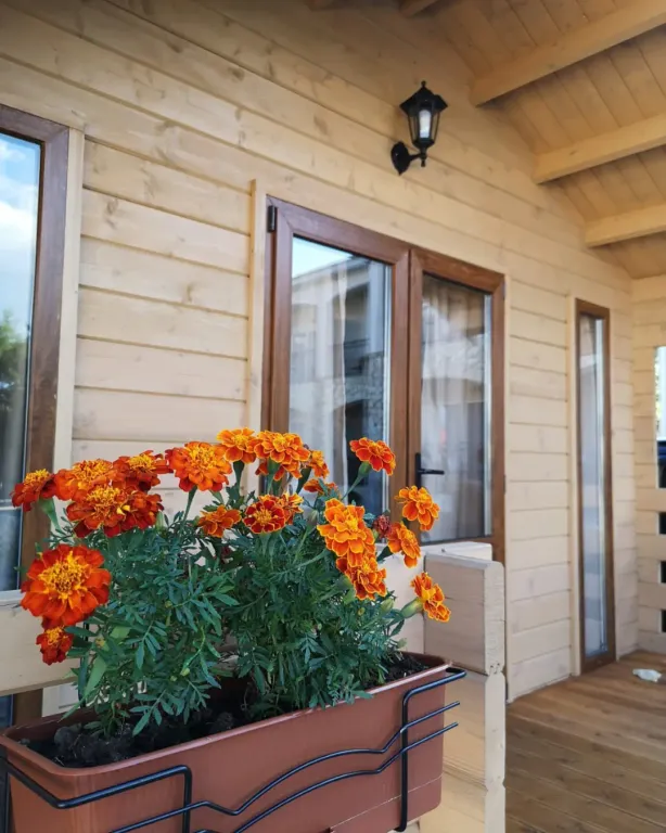 1-комнатный Дом