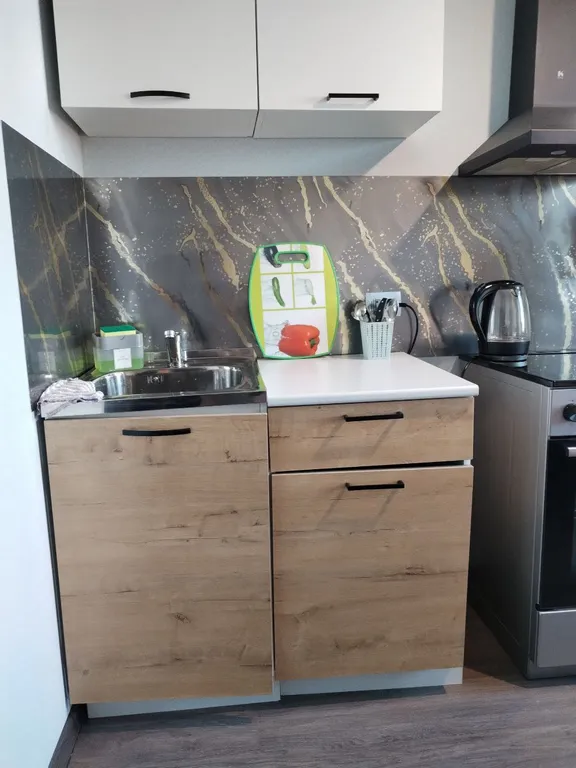 Квартира Уютная двухкомнатная квартира в исторической части курорта Шмаковка — Лесозаводск