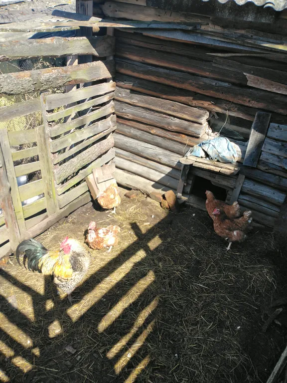 Дом с сауной и мангалом