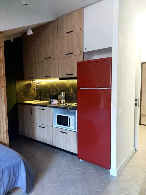 Уютная студия в Красной Поляне