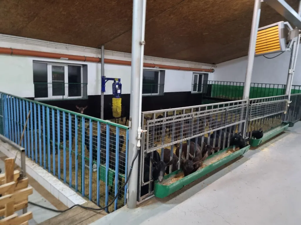 Загородный дом в национальном заповеднике