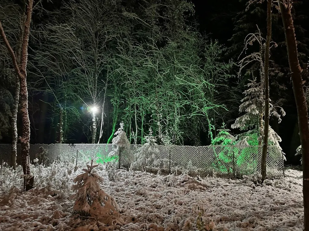 Шале в лесу в Подмосковье