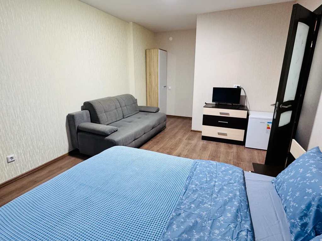 Просторная однокомнатная квартира