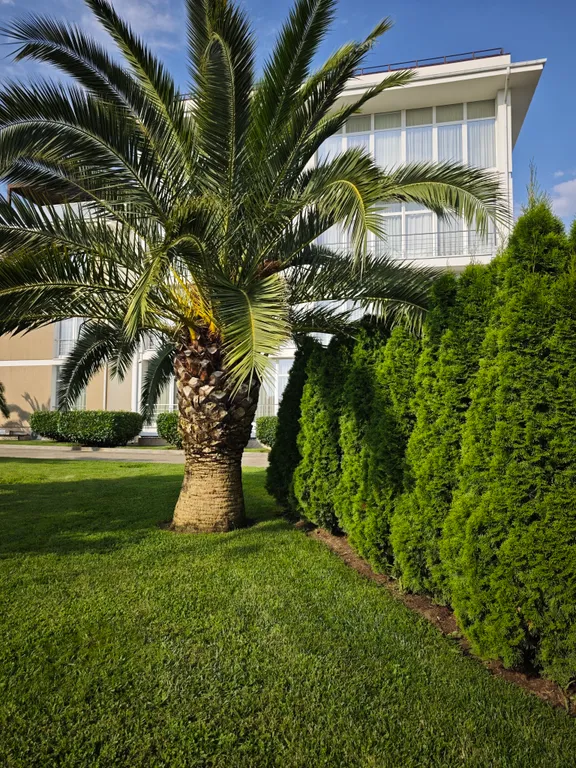 Квартира Апартаменты у моря — Сириус