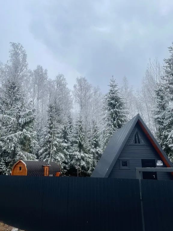Дом A-frame с купелью, баней и бассейном в сосновом лесу