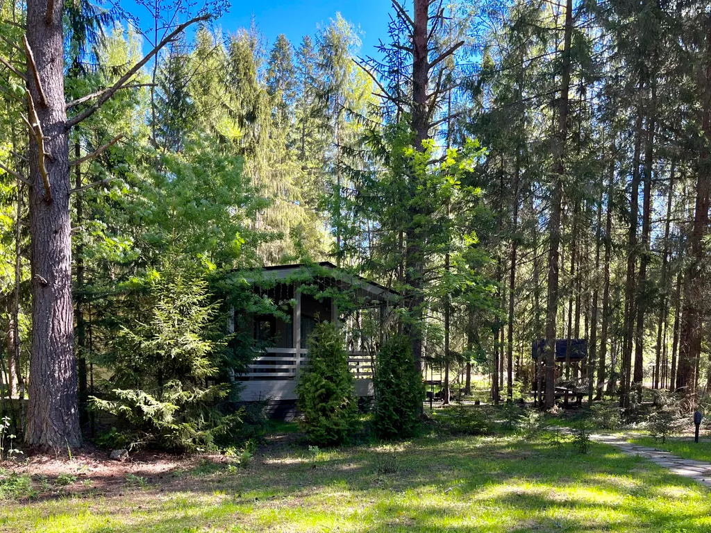 Коттедж Дизайнерский коттедж на берегу озера Волго на Селигере — Турбаза Чайка