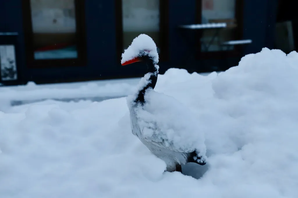 База отдыха Хэйлун Дом №3 Шэньчжоу