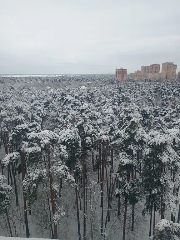 Уютная квартира-студия на станции Фабричная