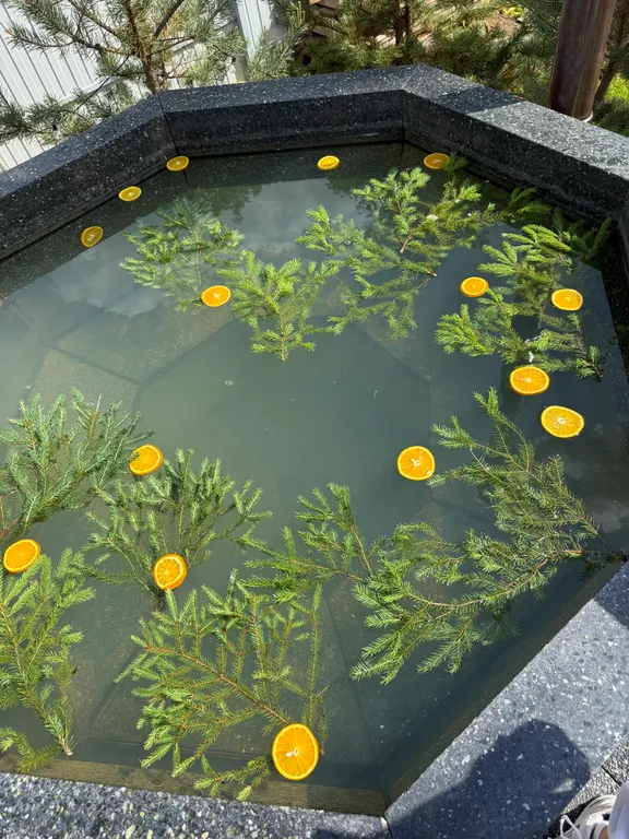 Коттедж Дом с сибирским чаном — Горки