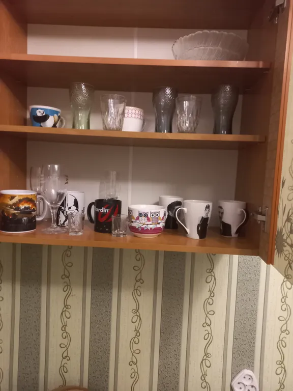 Уютная 1-комнатная кв. в центре г.Воронежа,рядом трасса Белгород,Курск