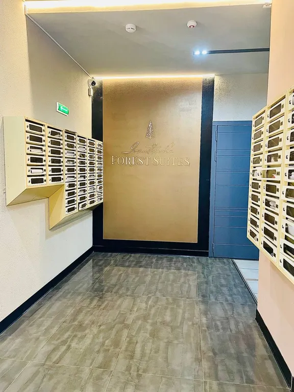 Комфортная студия в сосновом бору