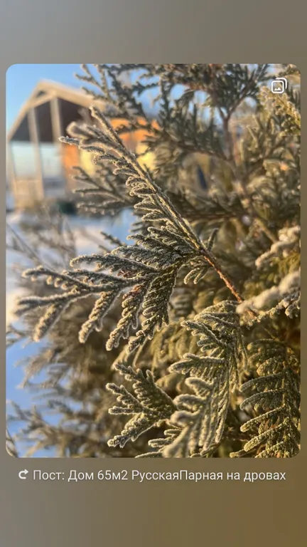 Дом Русская Парная на дровах