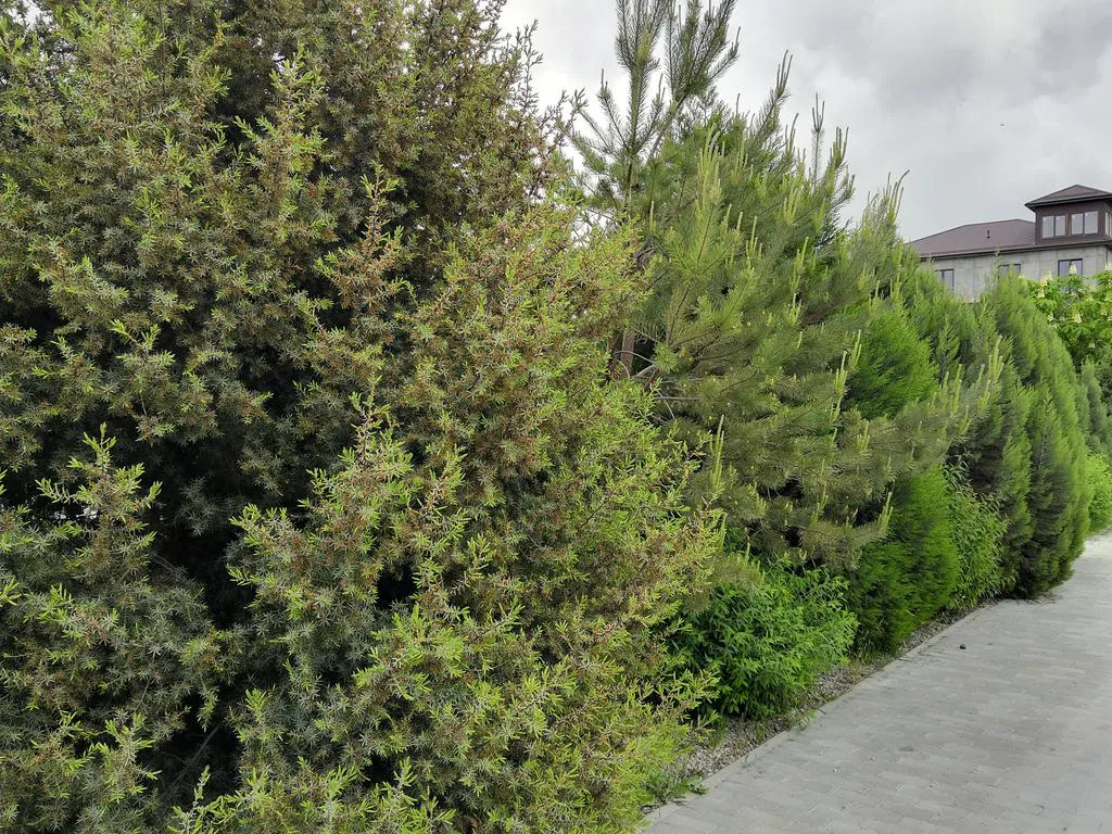 Вилла Натали с бассейном