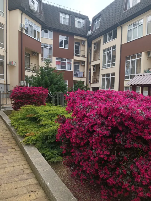 Квартира Двухкомнатная квартира недалеко от моря, рынка, океанариума и дельфинария — Адлер