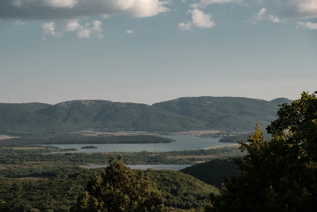 Домик с видом на лес