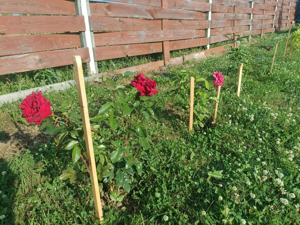 Домик а фрейм у Плеса