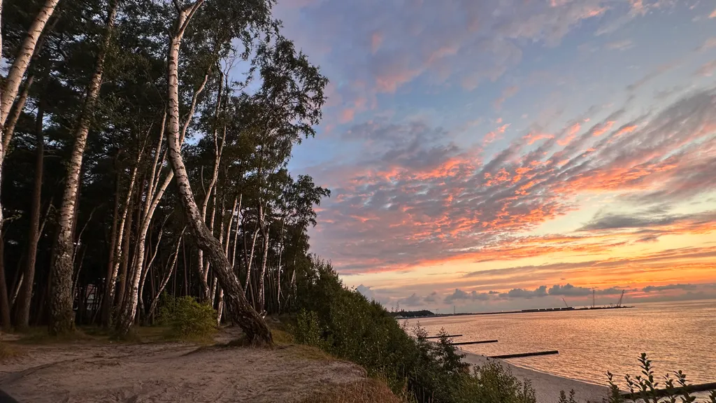Квартира Квартира в ЖК Пионерские огни — Пионерский