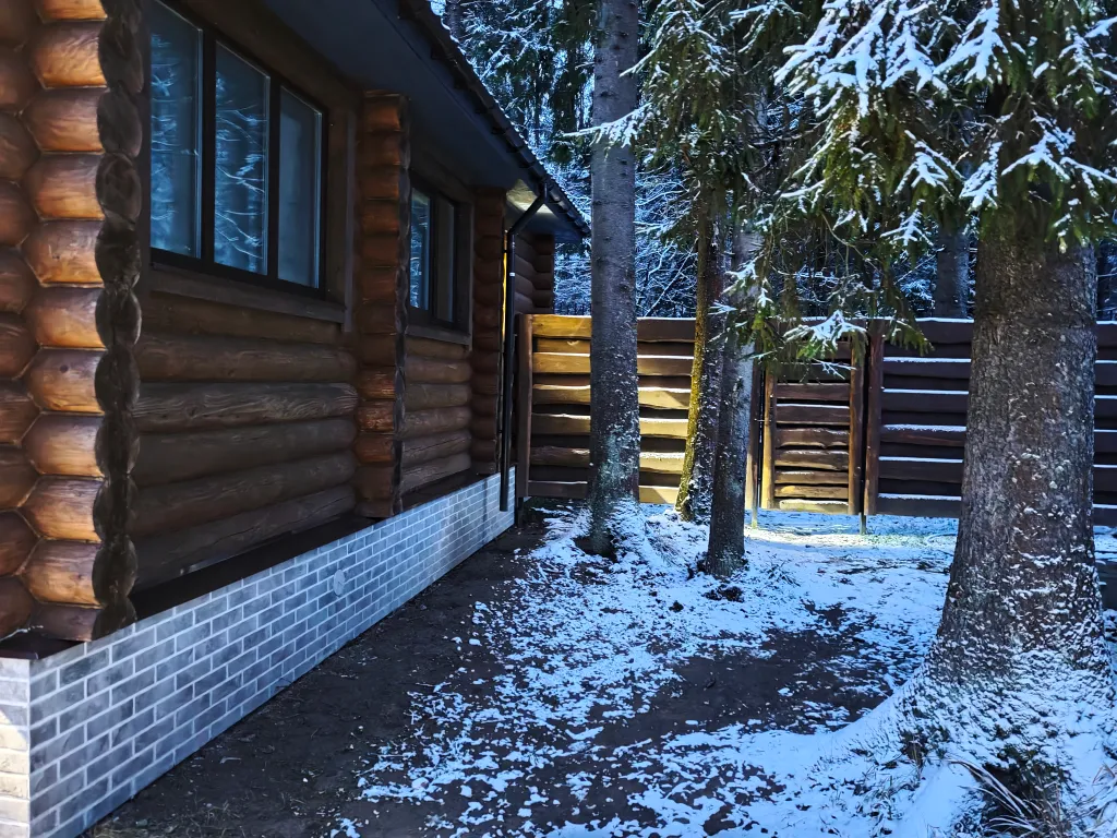 Гостевой дом в лесу с баней на дровах, чаном, бассейном, джакузи