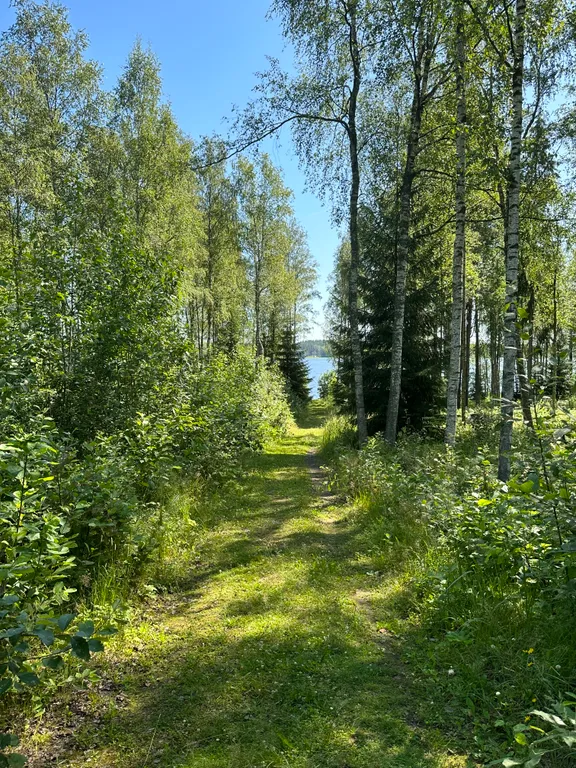 Коттедж Коттедж Дача-студия у озера Выборгский район Ленобласть — Приморск