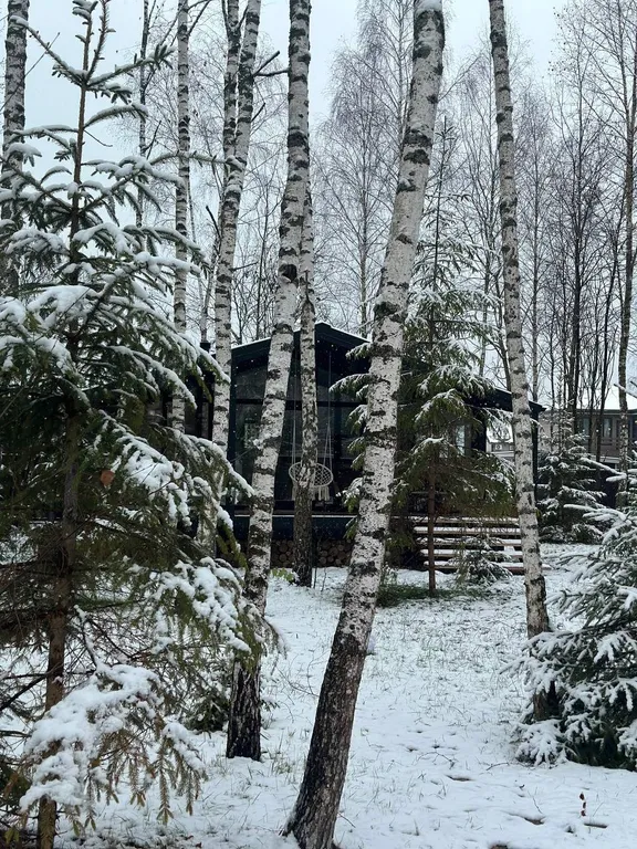 Дом с панорамной сауной, купелью на закрытом лесном участке